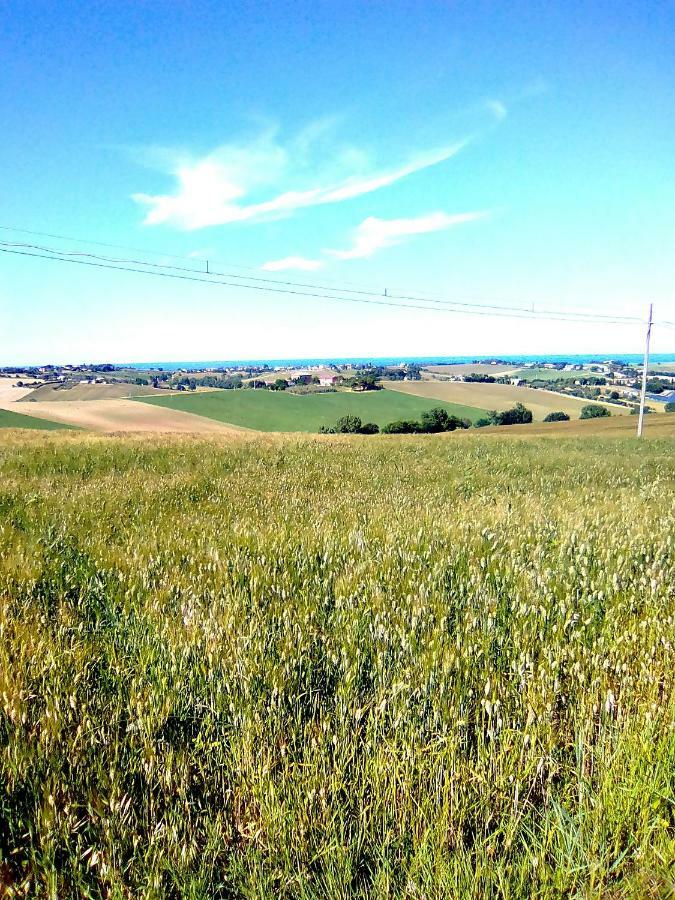 A Casa Di Sara Bed and Breakfast Senigallia Buitenkant foto
