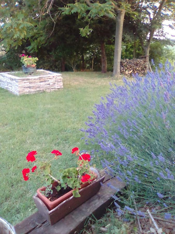 A Casa Di Sara Bed and Breakfast Senigallia Buitenkant foto